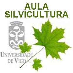 Silviculture. Faculty of Forestry. University of Vigo. Escola Enxeñaria Forestal. Escuela de Ingeniería Forestal. Universidade de Vigo #SoyForestal