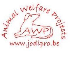 #dierenorganisatie #dierenwelzijn #rescue #animals #knaagdieren #konijnen #rabbits #honden #dogs #herplaatsingexproefdieren #diereninnood #animalsinneed