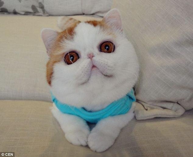 DIYDATA's profile picture. big data