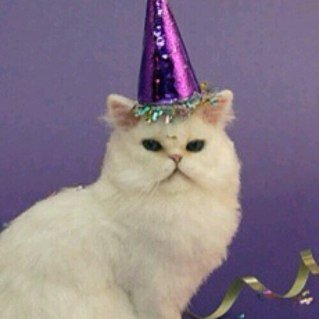 pizzaperfect_'s profile picture. i forgot my password for @donutstyles_ so yeah new acc babes