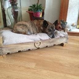 Notwhatitwas's profile picture. I make it better !                                                                           Handmade one off designs for the home, garden and pets !