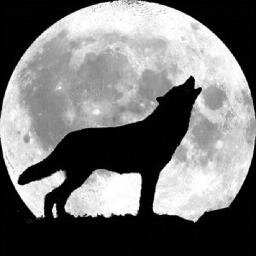 May as well howl at the moon 🌙