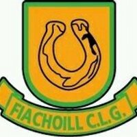 Feakle Gaa (@feaklegaa) 's Twitter Profile