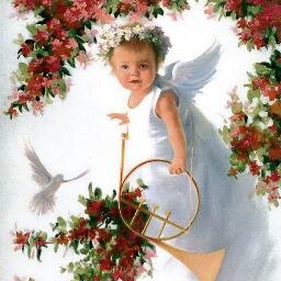 paredespizango's profile picture. La vida te da vida....