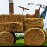 frandelgra's profile picture. Usuario de MSX desde  1986. Músico en vBBC. Agricultor orgulloso de su trabajo.