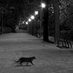 Philippe B (@philippe_bchn) Twitter profile photo