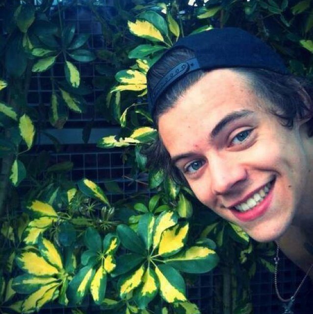 harry styles pra que