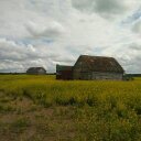 Dave Rooney - @saskarooney - Twitter