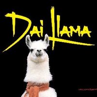 DaiLlama (@daillamawales) Twitter profile photo