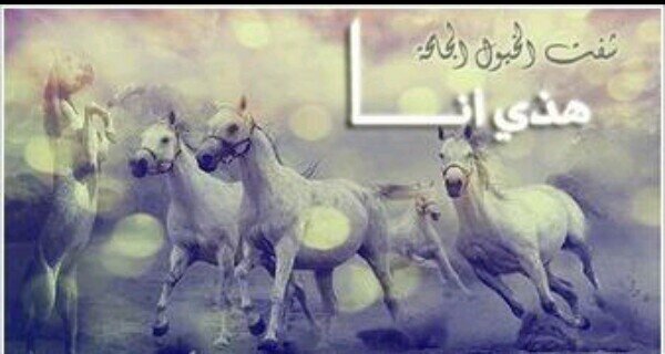‏شفت الخيول الجامحه ؟هذا اناناظر جموح الخيل تعرف عزتي ماتنلجم خيل ظهرهأ ماانحنى للذل يانفسي على العز اثبتي
