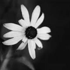 Benim_Blogum's profile picture. 