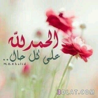 حسبي الله ونعم الوكيل :: حسبي الله ونعم الوكيل