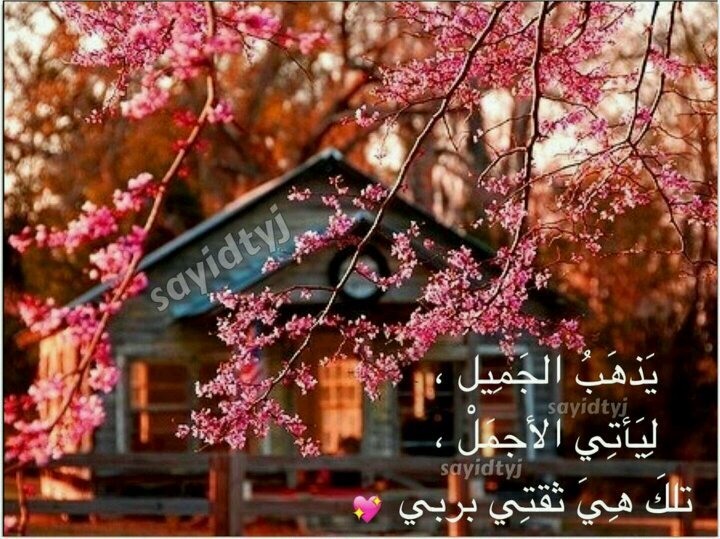 ‏متجر نانو كل ماتحتاجه المرأه العصريه .
اكسسوارات شنط مكياج منتجات منوعه .التوصيل لكافة مناطق المملكه ودول الخليج التواصل0508175408