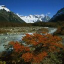 Christopher Burris - @SacredJourney87 - Twitter