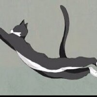 Craig Maxted (@thecatmaxted) 's Twitter Profile