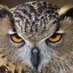 Steve Currington (@kiwicomposer) Twitter profile photo