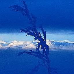 jukkasjarvi's profile picture. ...you'll never know if you never go!