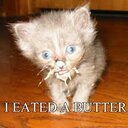 Zachary Lyons - @ZackTKiller - Twitter