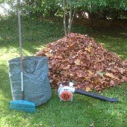 DDDienste's profile picture. 