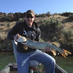 ZeroG56's profile picture. @Wickedvetgaming