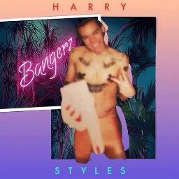 a little party never killed nobody -Harry Cyrus
@1Din5secondsx