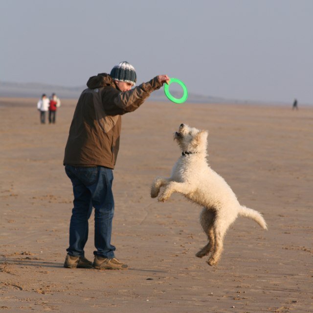 leeopinion's profile picture. Husband to an amazing wife, Dad to two adorable girls and marketing professional. Retweet what makes me think and makes me laugh! Follow MUFC