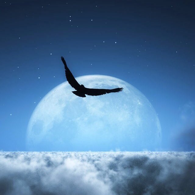 Outofline80's profile picture. خارج السرب