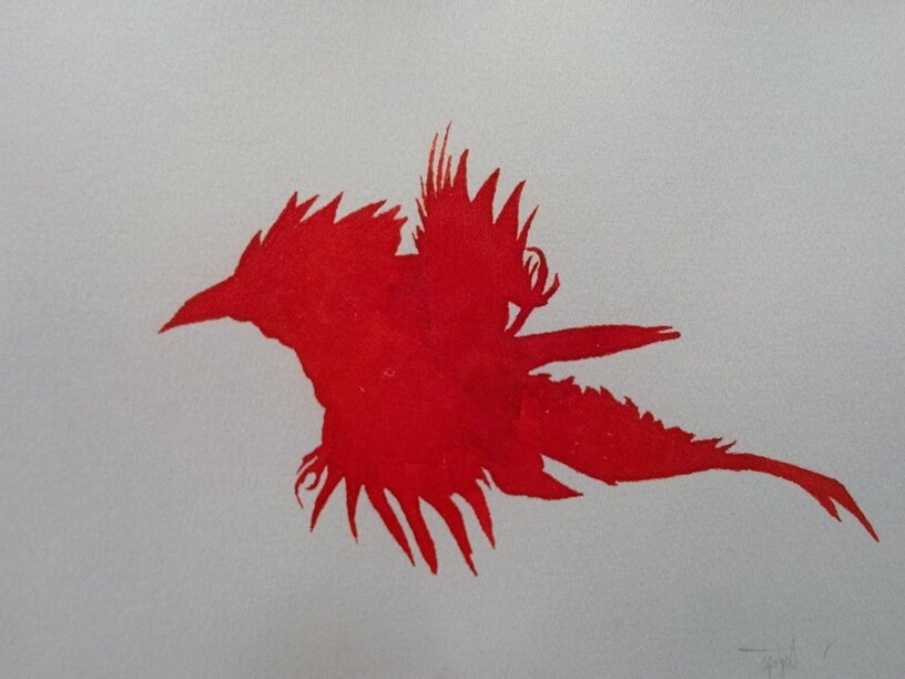 adiosamigos_'s profile picture. itf 16, radyoloji uzmanı