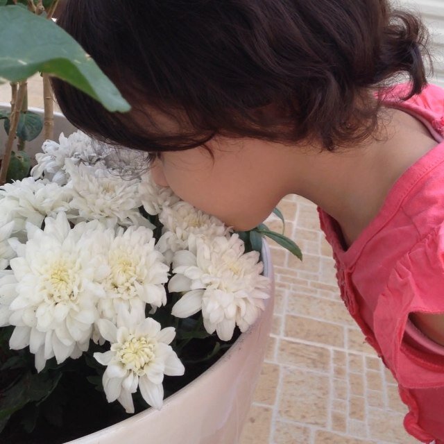 a1_abeer's profile picture. أم قبلَ كل شيء❤️