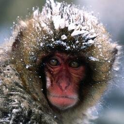 mikerexpeita's profile picture. 