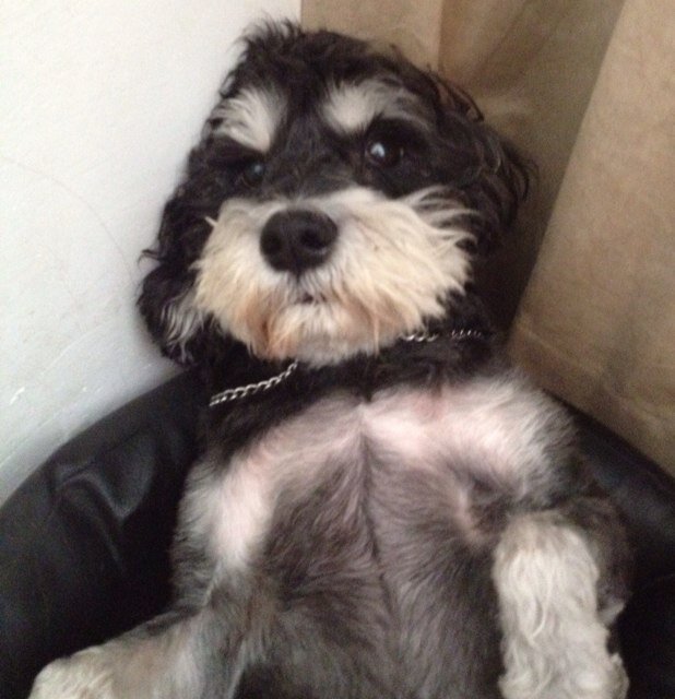 onno_van's profile picture. 