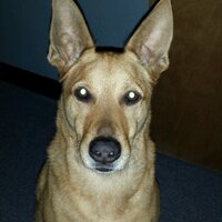 Todd Moberg (@mofun4) 's Twitter Profile
