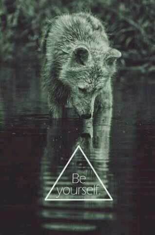 exit0_'s profile picture. exito, elegancia, y poco mas.