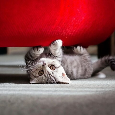 Francisbrooklyn's profile picture. Born in Brooklyn..live in Baltimore.....really