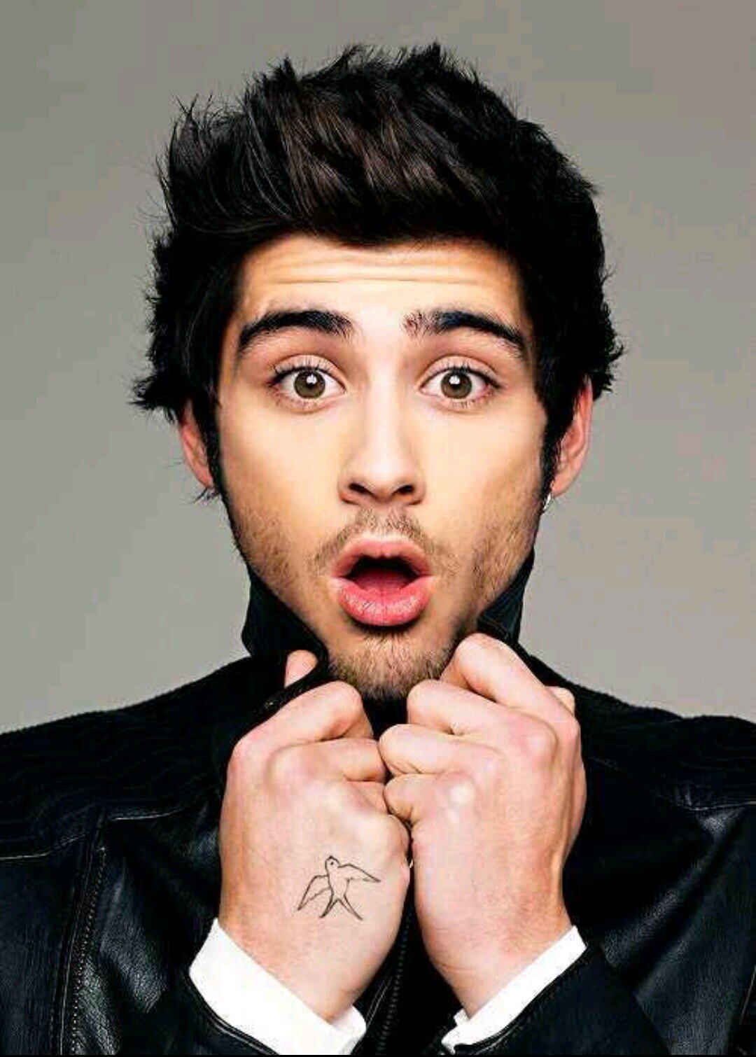 free follow @txcobellniall