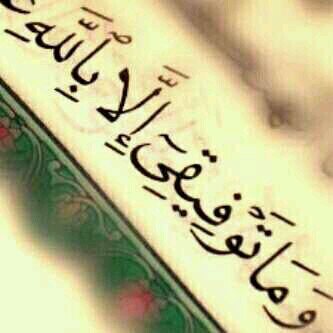 #بصراحة .. بعيداً عن التجريح .. أتمنى أن أفيد وأستفيد