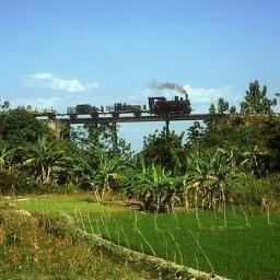 RosidMtm's profile picture. 