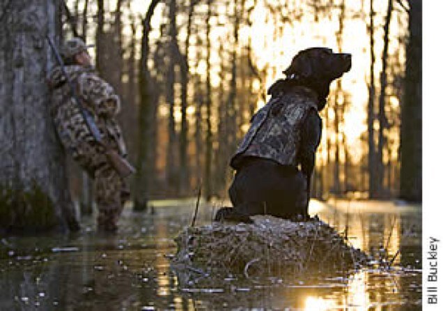 Fellow hunter showing love for what God has blessed us with here in the duck hunting capital of the world and across the country.