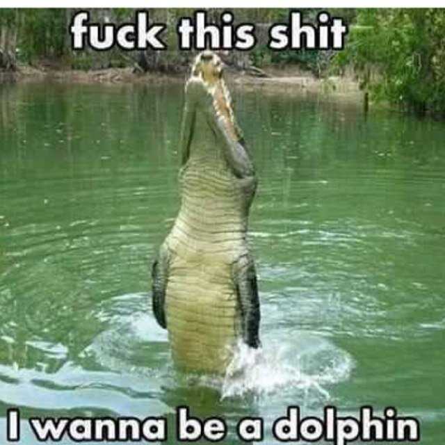 KalebConnally's profile picture. 