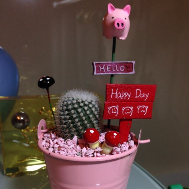 LinSgp1021's profile picture. 