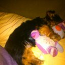 daniel arrigoni - @danielarrigoni - Twitter