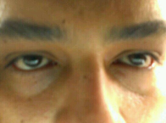 juan_arango79's profile picture. Even Brave Men Fear Death