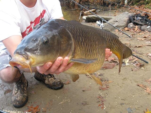 CarpTools is a carp fishing tackle and bait store in the making aimed to provide you with the best and easiest shopping experience in the U.S. Coming Soon