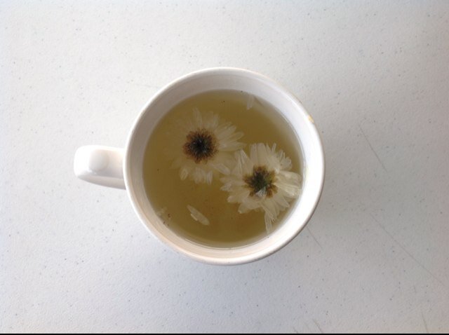 06caro08's profile picture. 