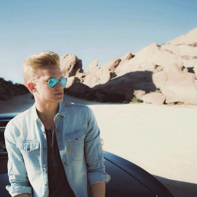 simpsonizers