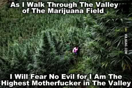 mysteryifudare's profile picture. Time's Person of The Year 2☹☹6.                                   Kush Mush Flush In A Rush