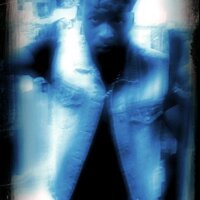 Darwin Fortune (@darwin_fortune) 's Twitter Profile