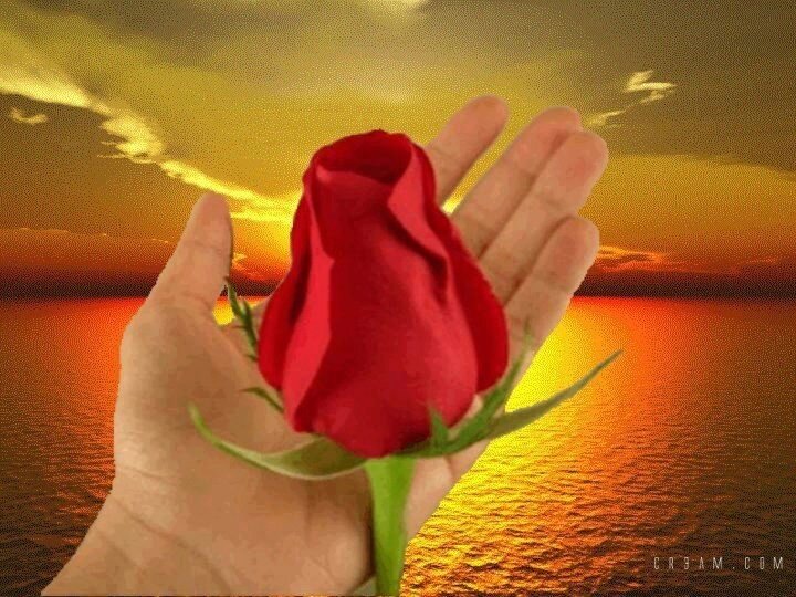 acibiber24's profile picture. Gay passif et soumis...