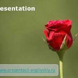 Бесплатный ресурс актуальных презентаций в PowerPoint. #ВзаимныйФолловинг #ЧитаюВзаимно #БесплатныеПрезентации #ШаблоныДляПрезентаций
