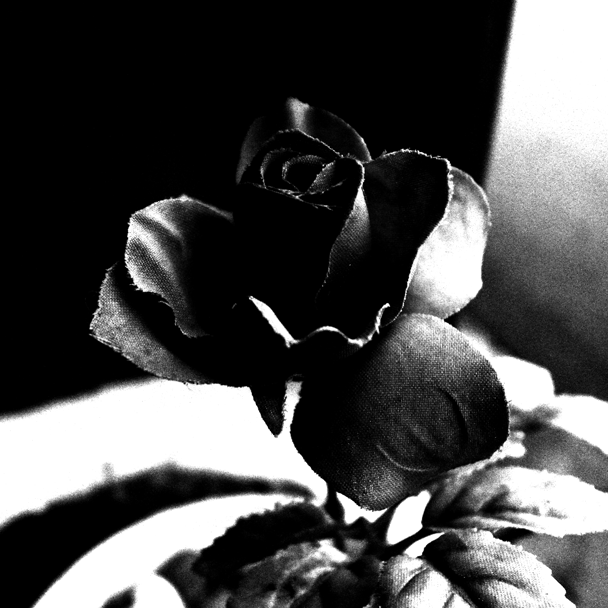 hyadnan's profile picture. 